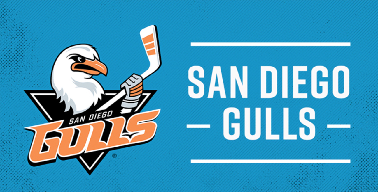San Diego Gulls vs Springfield Thunderbirds